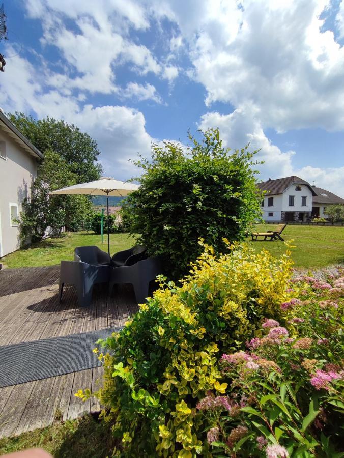 Gite Cosy Avec Avec Jardin Et Parking Privatifs - Hautes Vosges Saint-Amé Exterior photo