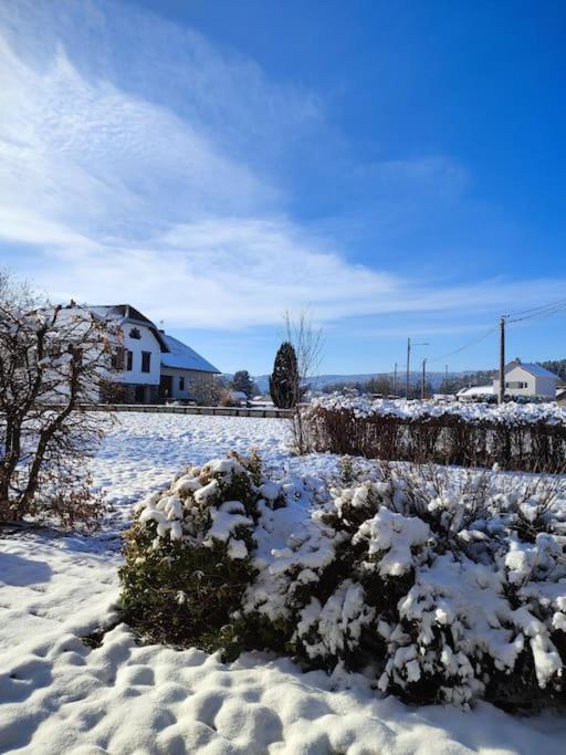 Gite Cosy Avec Avec Jardin Et Parking Privatifs - Hautes Vosges Saint-Amé Exterior photo